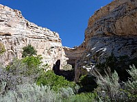 Dinosaur national park (21).JPG